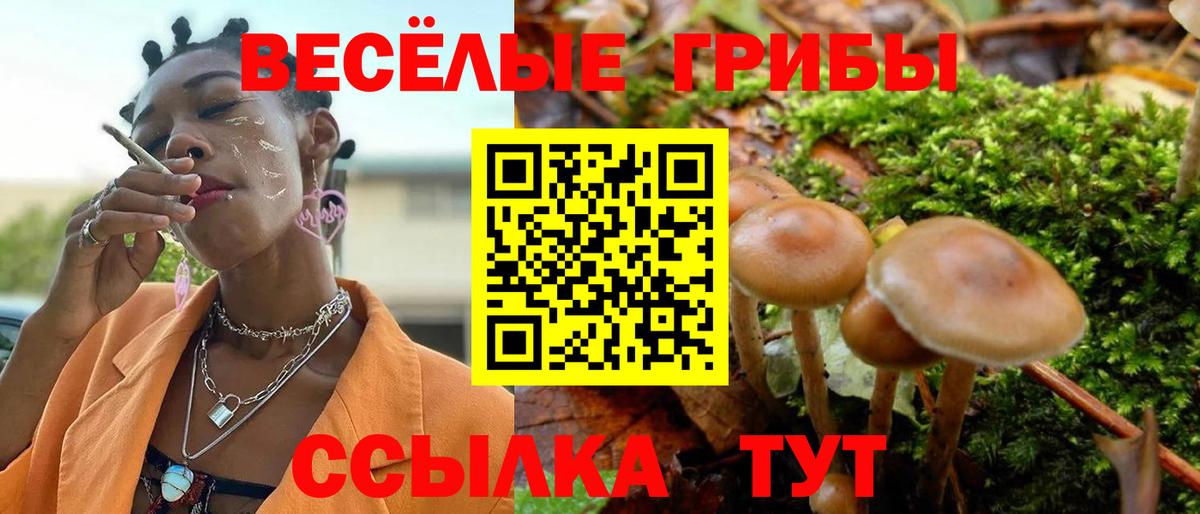 Псилоцибиновые грибы Psilocybe  Вход с VPN  Арсеньев  Псилоцибиновые грибы Psilocybe 